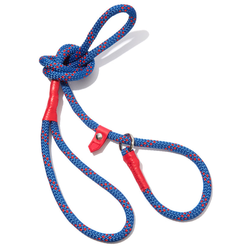 wagwear dog leash
