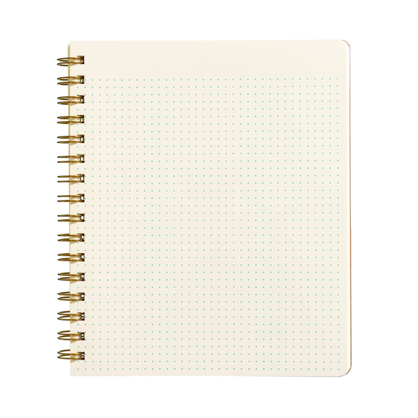 Standard Notebook - Mustard