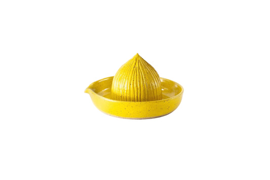 Citrus Juicer