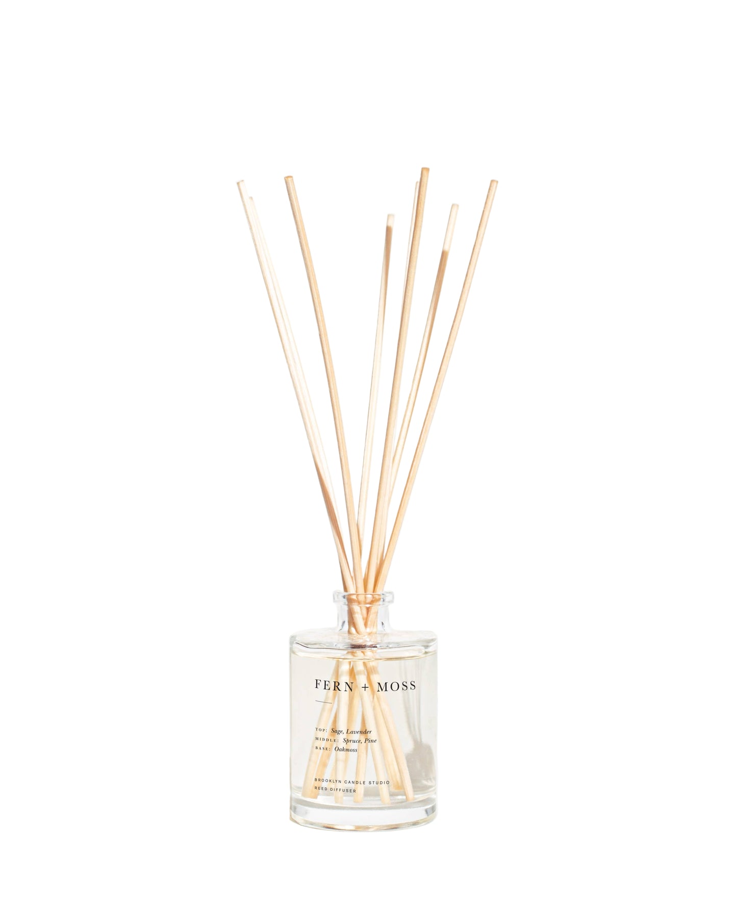 Diffuser with wooden sticks and 'Fern & Moss' branding on a white background
