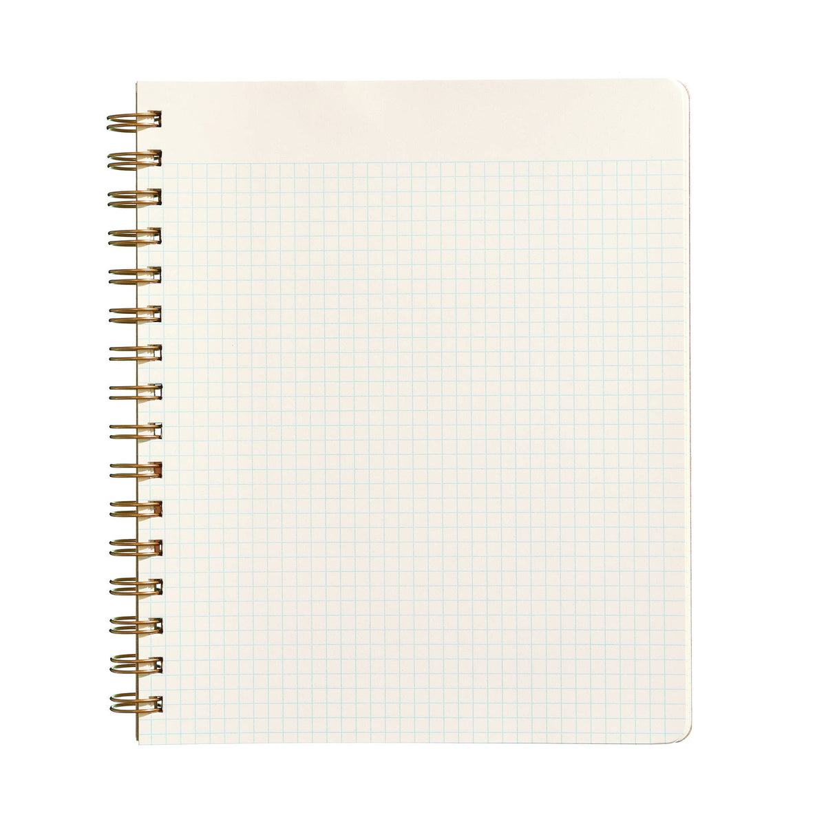 Standard Notebook - Mint