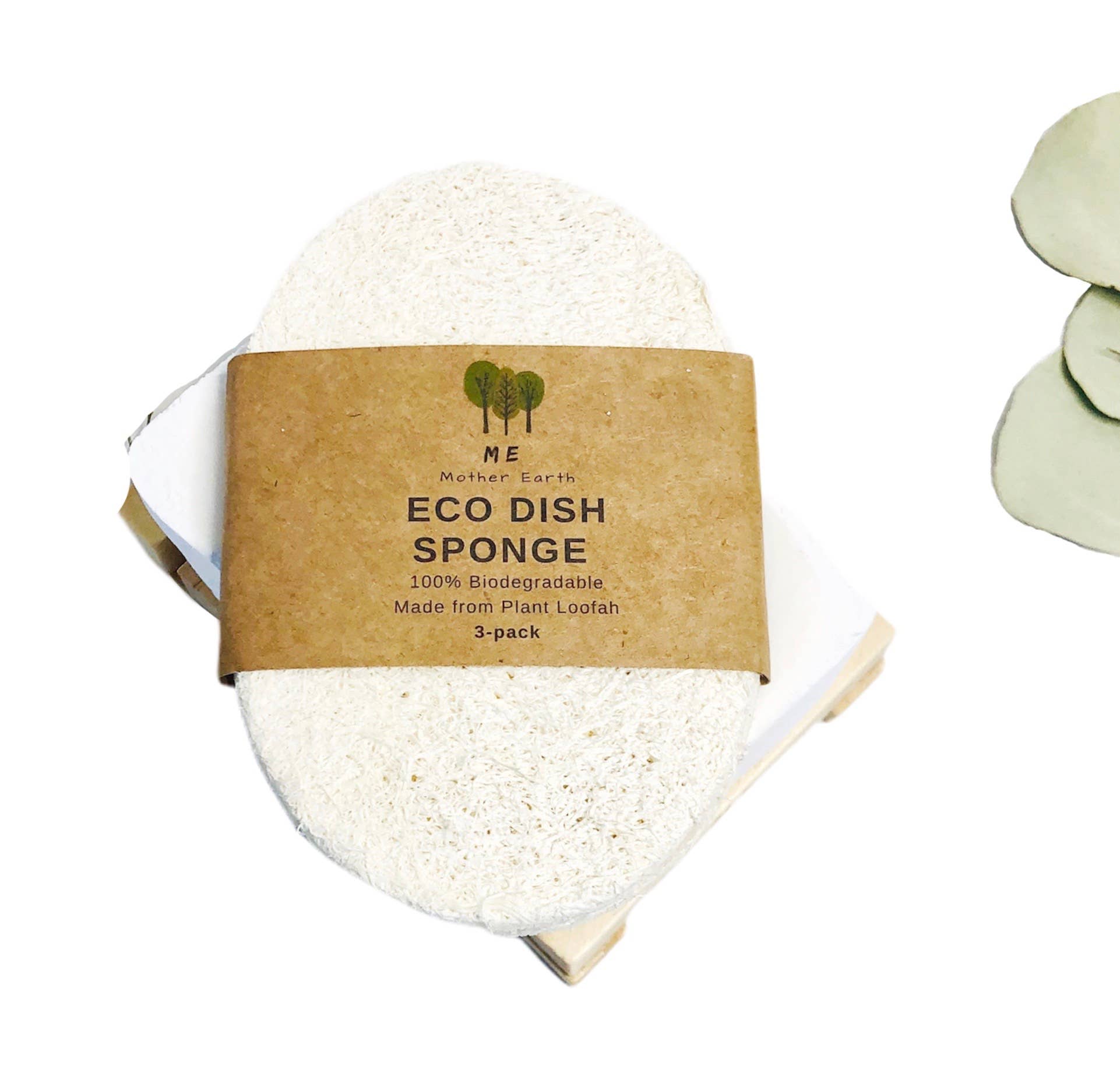 Compostable Loofah Dish Sponges - Thumbnail 4