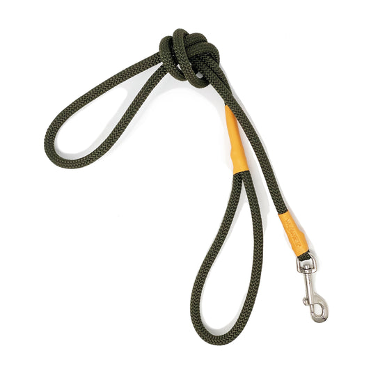 wagwear dog leash